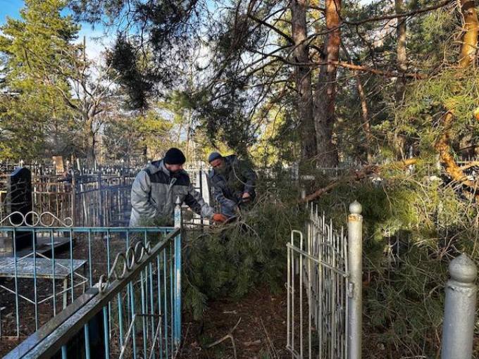 комунальники Харкова взимку наводять лад на міських кладовищах